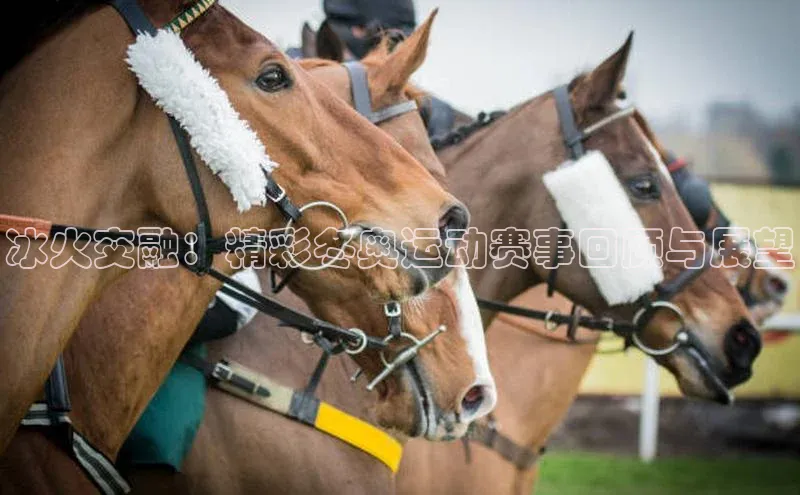 williamhill威廉希尔网址百度手机输入法冰火交融：精彩冬奥运动赛事回顾与展望