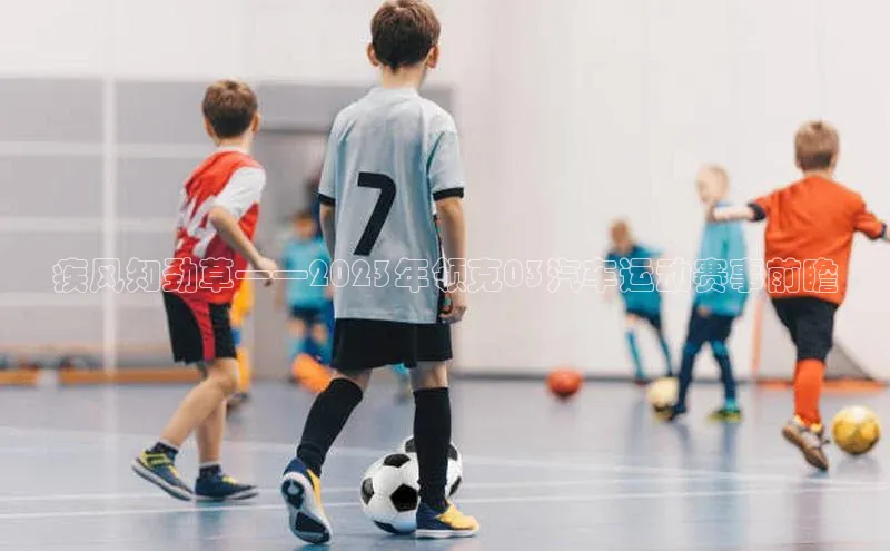 疾风知劲草——2023年领克03汽车运动赛事前瞻