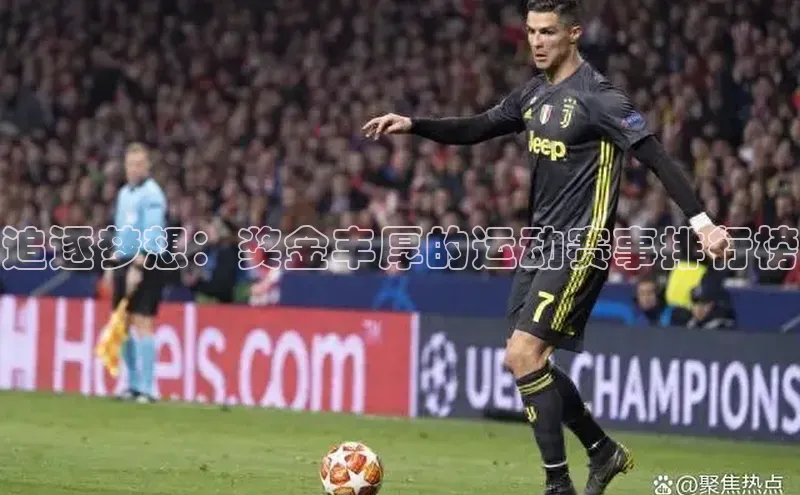 追逐梦想：奖金丰厚的运动赛事排行榜