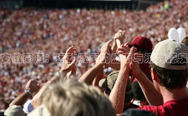 安徽南陵：运动赛事的盛事与活力源泉