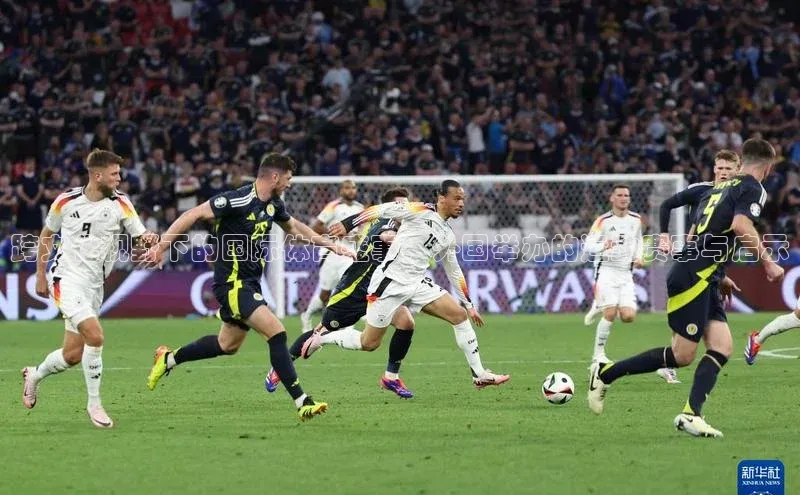 跨文化视野下的国际体育盛事：外国举办的运动赛事与启示