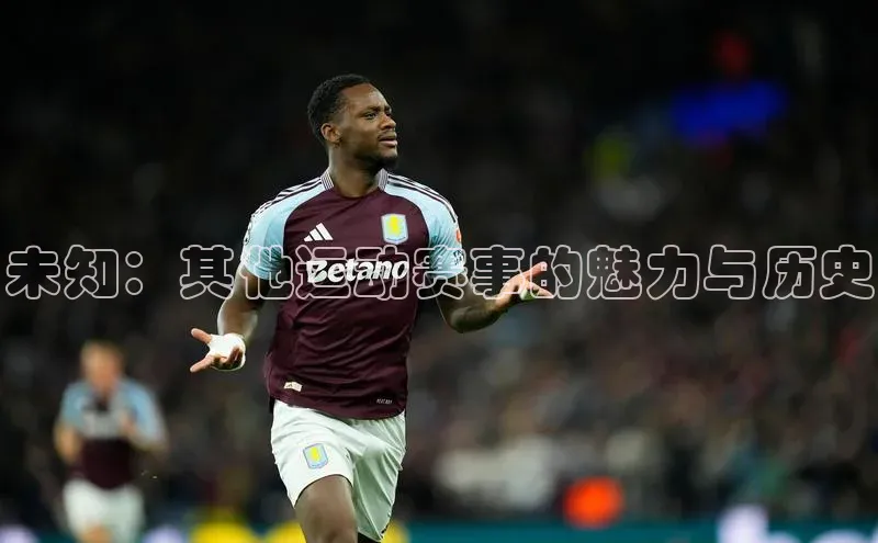 威廉希尔足球网